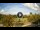 Webcam in Reunion, Florida, 182.8 km