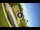 Webcam in Reunion, Florida, 41.3 mi away