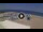 Webcam in Albenga, 0.2 km