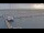 Webcam in Oudeschild (Texel), 14.7 mi away