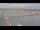 Webcam in Oudeschild (Texel), 0.3 mi away