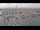 Webcam in Oudeschild (Texel), 52.9 km