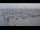 Webcam in Oudeschild (Texel), 49.9 km