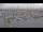 Webcam in Oudeschild (Texel), 13.7 km