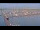 Webcam in Oudeschild (Texel), 10 mi away