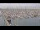 Webcam in Oudeschild (Texel), 1 km entfernt