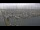 Webcam in Texel - Oudeschild, 11.6 km