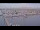 Webcam in Oudeschild (Texel), 6.8 km