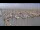 Webcam in Oudeschild (Texel), 49.9 km entfernt