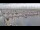 Webcam in Oudeschild (Texel), 64.8 km