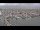 Webcam in Oudeschild (Texel), 0.4 mi away