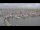 Webcam in Oudeschild (Texel), 19.3 mi away