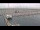 Webcam in Oudeschild (Texel), 19.3 km