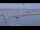 Webcam in Oudeschild (Texel), 10.6 km