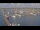 Webcam in Oudeschild (Texel), 2.6 mi away