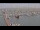 Webcam in Oudeschild (Texel), 4.5 mi away