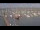 Webcam in Oudeschild (Texel), 10 mi away