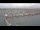 Webcam in Texel - Oudeschild, 49.9 km