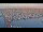 Webcam in Oudeschild (Texel), 10 mi away