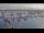 Webcam in Oudeschild (Texel), 10 mi away