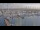 Webcam in Oudeschild (Texel), 11.6 km
