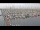 Webcam in Oudeschild (Texel), 4.1 mi away