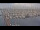 Webcam in Oudeschild (Texel), 14.4 km