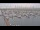 Webcam in Oudeschild (Texel), 35.3 km
