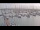 Webcam in Oudeschild (Texel), 4.5 mi away