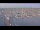 Webcam in Oudeschild (Texel), 10 mi away