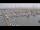Webcam in Oudeschild (Texel), 11.6 km