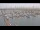 Webcam in Texel - Oudeschild, 9 km