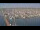 Webcam in Oudeschild (Texel), 10 mi away