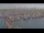 Webcam in Oudeschild (Texel), 16.2 mi away