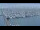 Webcam in Oudeschild (Texel), 10.1 km