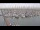 Webcam in Texel - Oudeschild, 49.9 km