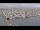 Webcam in Texel - Oudeschild, 43.1 km