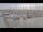 Webcam in Oudeschild (Texel), 61.6 km entfernt