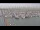 Webcam in Oudeschild (Texel), 43.1 km