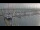 Webcam in Oudeschild (Texel), 38.7 km entfernt