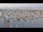 Webcam in Oudeschild (Texel), 4.5 mi away