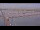 Webcam in Oudeschild (Texel), 6.8 km