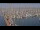 Webcam in Oudeschild (Texel), 38.2 km entfernt