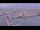 Webcam in Oudeschild (Texel), 3.2 mi away