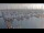 Webcam in Oudeschild (Texel), 10 mi away