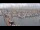 Webcam in Oudeschild (Texel), 11.6 km