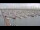 Webcam in Oudeschild (Texel), 23.6 km
