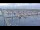 Webcam in Oudeschild (Texel), 6.9 km