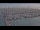 Webcam in Oudeschild (Texel), 16.2 mi away