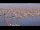 Webcam in Oudeschild (Texel), 6.8 km